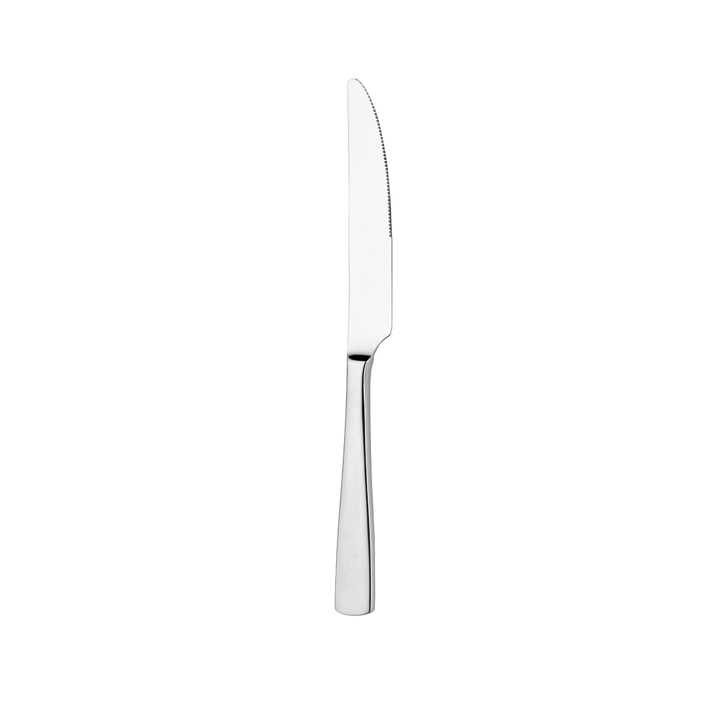 PALACE - TABLE KNIFE (12) (Pintinox)
