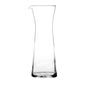 BISTRO - CARAFE - 27CL (48) (Ocean)