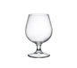 SNIFTER 53CL H149MM W99MM (24) (Bormioli Rocco)