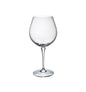 PREMIUM - NEBBIOLO 67CL (6) H238MM W108MM (Bormioli Rocco)