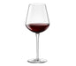 INALTO - UNO EXTRA LARGE 64CL (6) H243MM W104MM (Bormioli Rocco)
