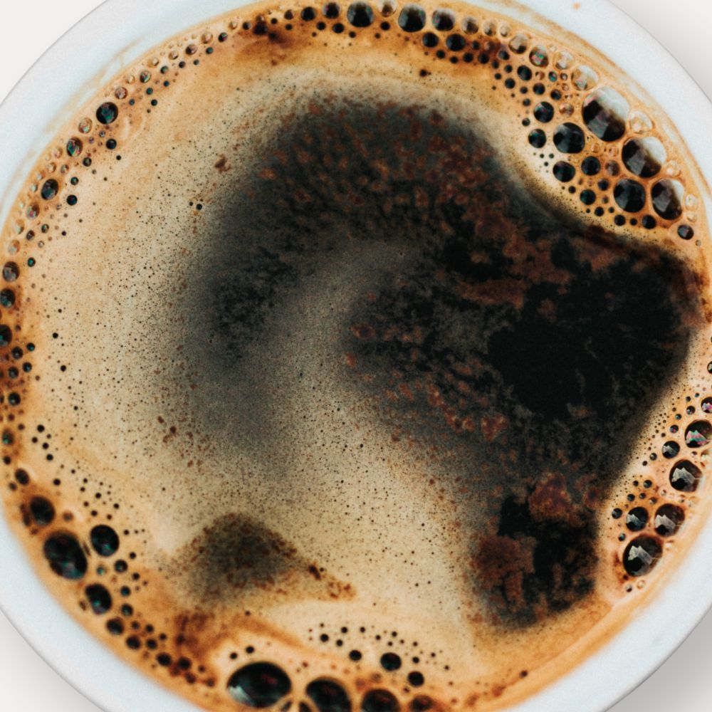 Filter Coffee Machine - 1.8 Lt (BRAVIDA) - Catering