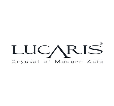 logo 13