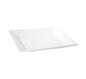 QUADRILATERAL PLATE - 36CM (2) (Fortis)