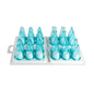 NOZZLE SET POLYCARBONATE ASSORTED - 24 PIECE (Pavoni)
