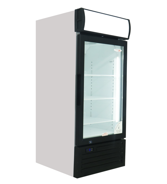 FRIDGE STAR SINGLE HINGED GLASS DOOR COOLER (238 LT) - Catering