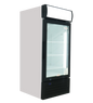 FRIDGE STAR SINGLE HINGED GLASS DOOR COOLER (238 LT) - Catering