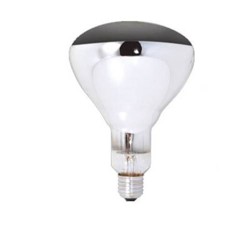 INFINITI 250W GLOBE SCREW IN (Infiniti)