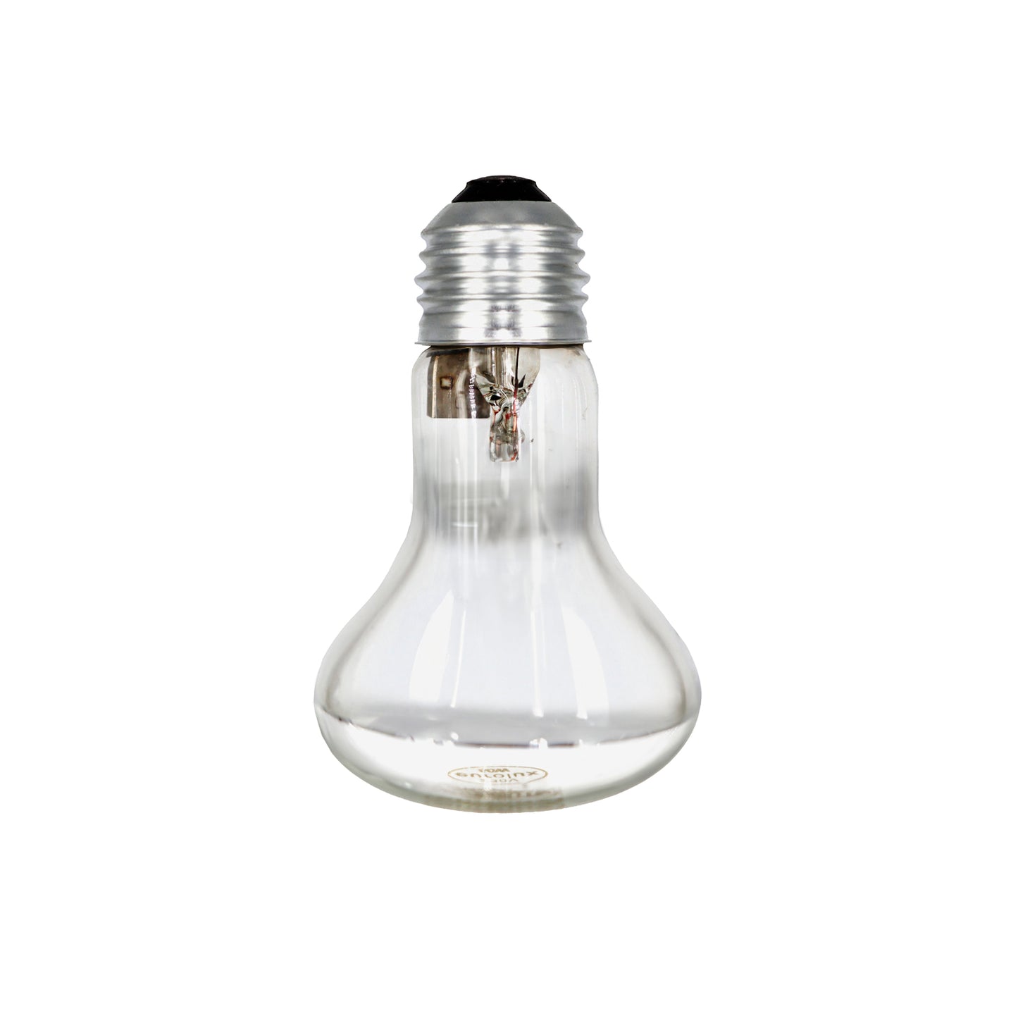 60W GLOBE – SCREW IN (MIRROR BACK)