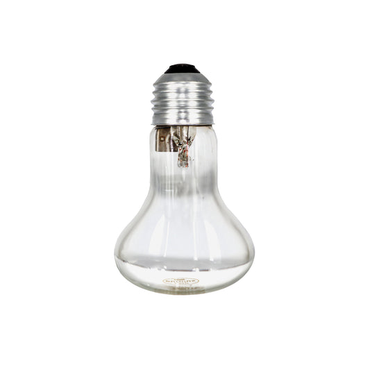 60W GLOBE – SCREW IN (MIRROR BACK)