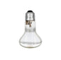 60W GLOBE – SCREW IN (MIRROR BACK)