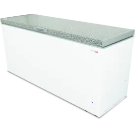 FRIDGE STAR Commercial Chest Freezer 545 Litre - Catering